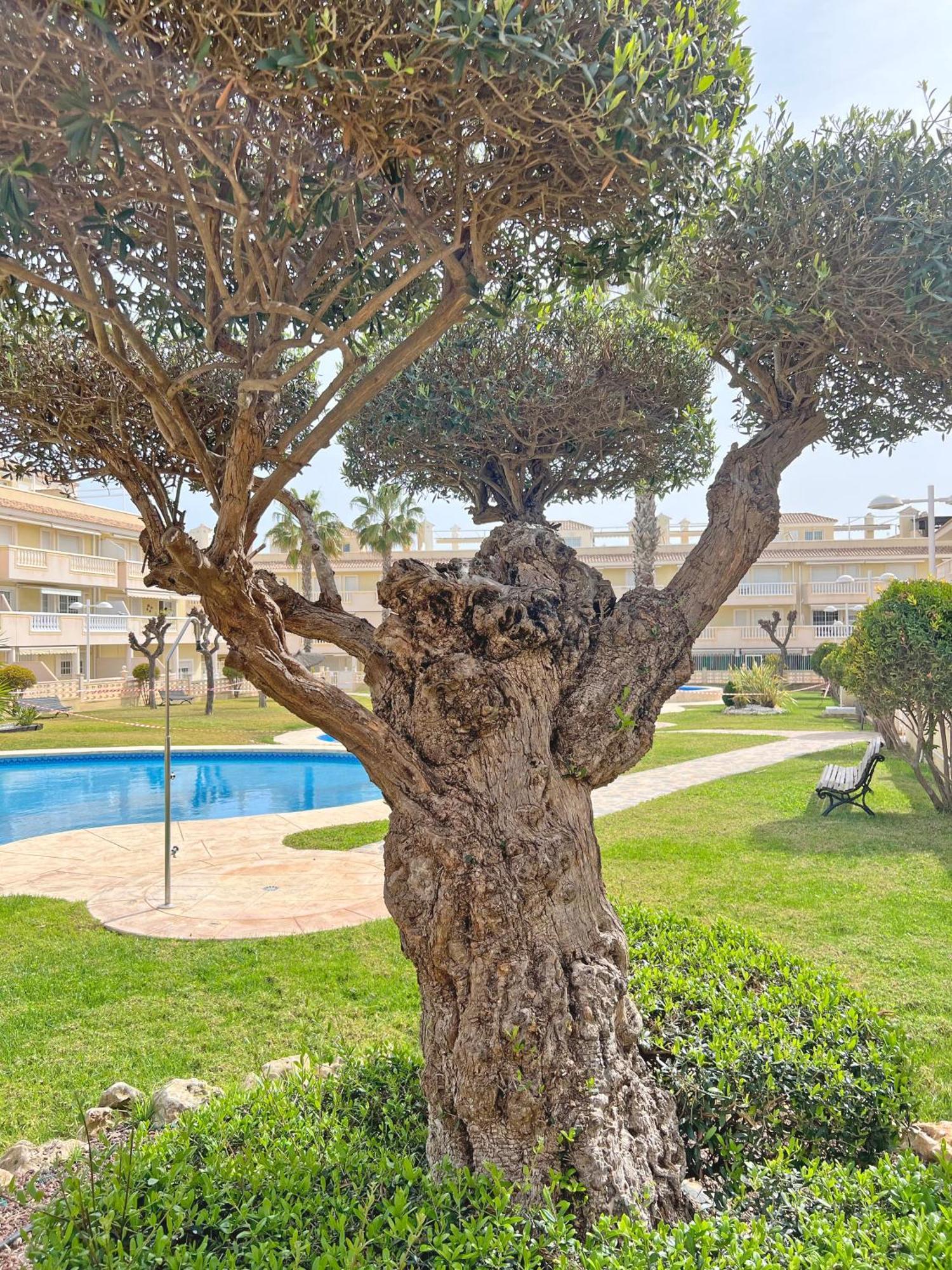 Gran Terraza, Piscina, Parking Y Aire Acondicionado Apartment